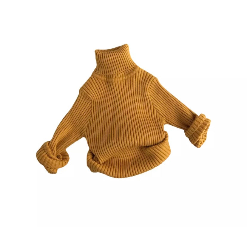 Turtleneck Sweater